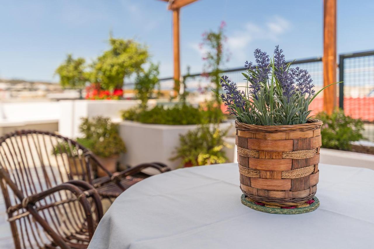 Apartment Panoramic View Roof Garden